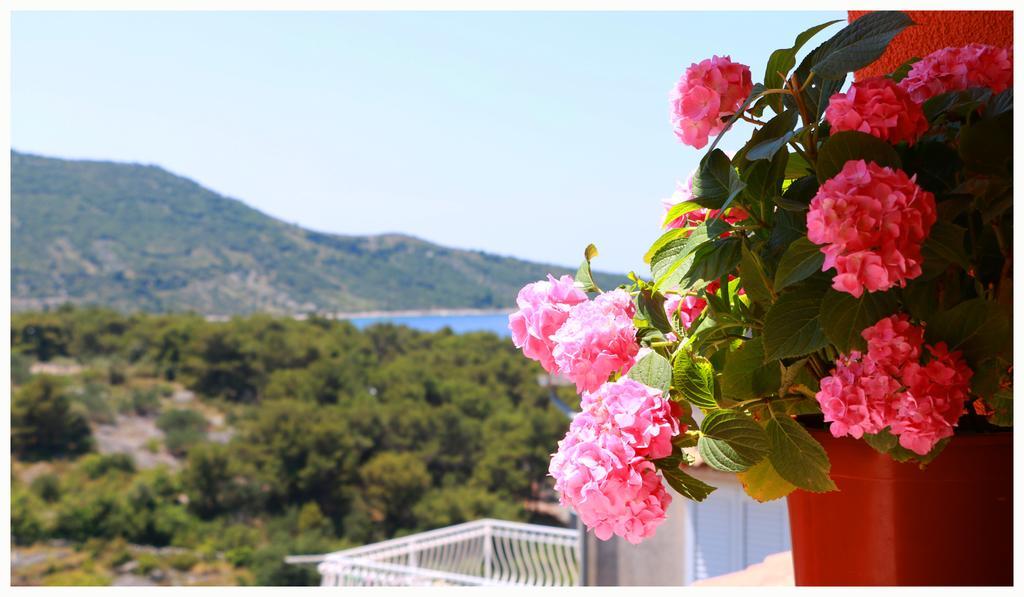 Villa Marica Primošten Buitenkant foto